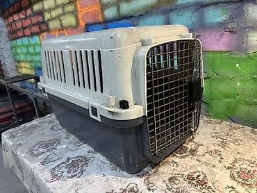 собако: Переноска пластиковая. 45 (Д*Ш*В). Подходит для кошек и небольших — 3