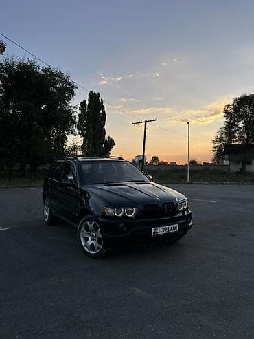sti genome купить: BMW X5: 2003 г., 3 л, Дизель, Кроссовер — 1