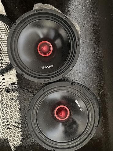 ош жапалак: Пара среднечастотных драйверов Aiwa ASM-8008PRO - Тип: динамики — 3