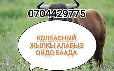 Колбасный цех, Частное лицо : Лошади, кони, Другие с/х животные, Коровы, быки, | Любое состояние, Забитый, На забой, на мясо