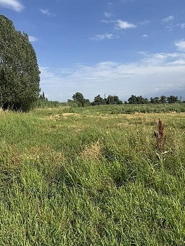 Продажа участков: 420 соток, Для сельского хозяйства — 2