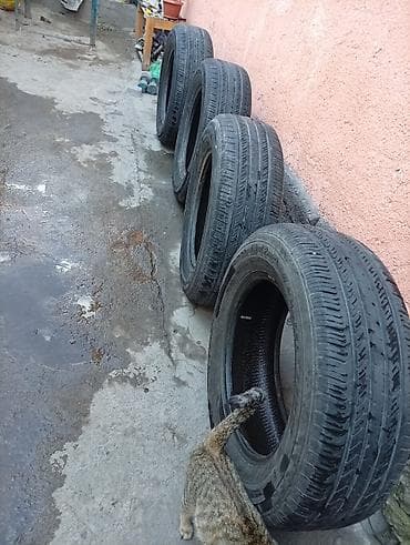 17: Летние шины Maxxis Bravo HP-M3 - Размер: 235/65 R17 - Индекс — 5