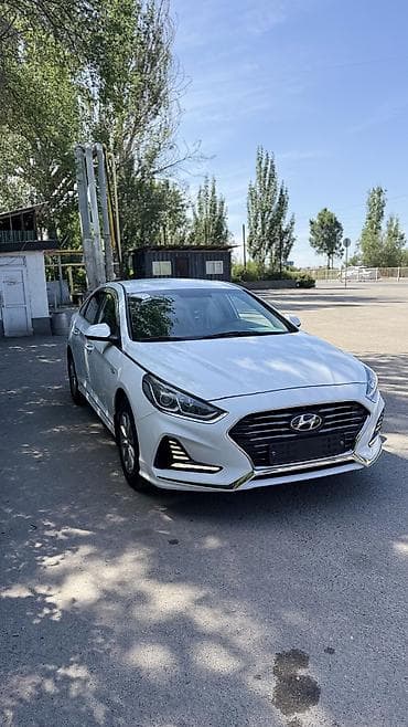 дверь сапог: Hyundai Sonata: 2021 г., 2 л, Автомат, Газ, Седан — 5