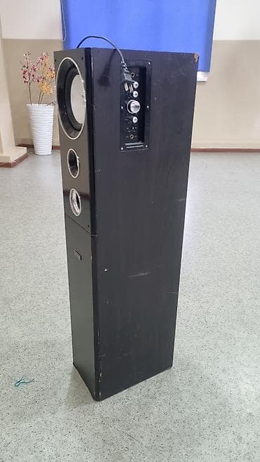 samsung frontier: Напольная активная акустическая система (моноколонна) - Тип: активная — 3