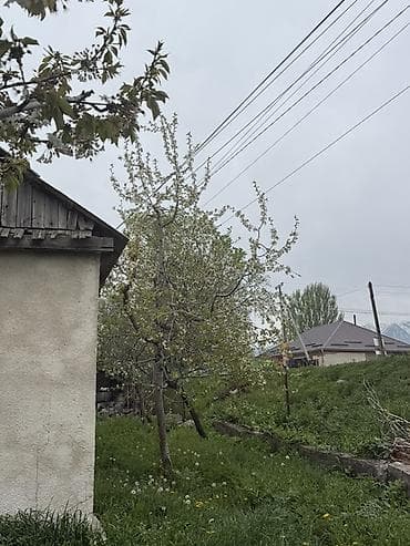 территория: 8 соток, Для бизнеса — 5