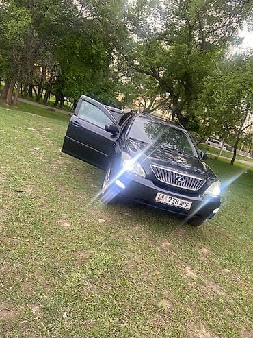golf plus: Lexus RX: 2004 г., 3 л, Автомат, Бензин, Кроссовер — 2