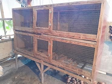 Айыл-чарба жаныбарлары: Двухъярусная деревянная клеточная батарея для кроликов/птицы/нутрий - — 1