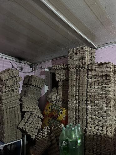 Оптом коробки от яиц продается есть платная доставка так же самовывоз at lalafo.kg Оптом коробки от яиц продается есть платная доставка так же самовывоз