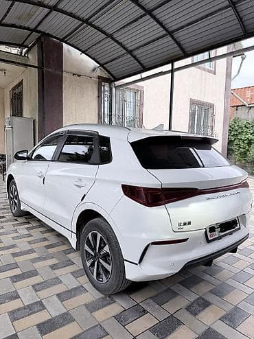 byd son: BYD E2: 2024 г., Автомат, Электромобиль, Хэтчбэк — 4