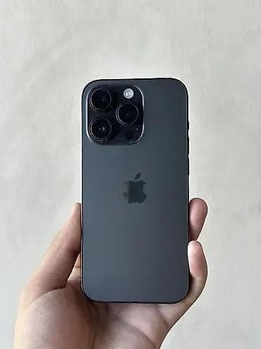 IPhone 14 Pro, Новый, 256 ГБ, Серебристый, Чехол, 80 %