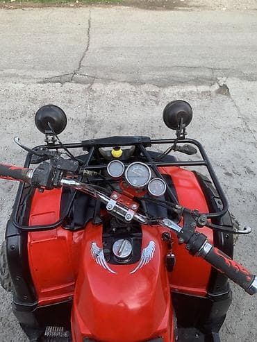 Квадроциклы: Квадроцикл Yamaha, Бензин, 200 куб. см, Взрослый — 5