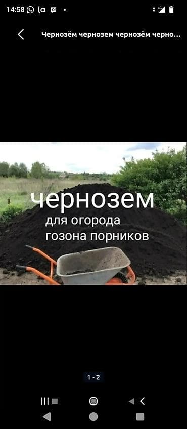 цветы дешево: Чернозём для огорода, газона и теплиц - Плодородная рыхлая почва — 2