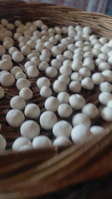 личинка карпа: Домашние шарики моцареллы (мини) - Формат: маленькие шарики, удобные — 1