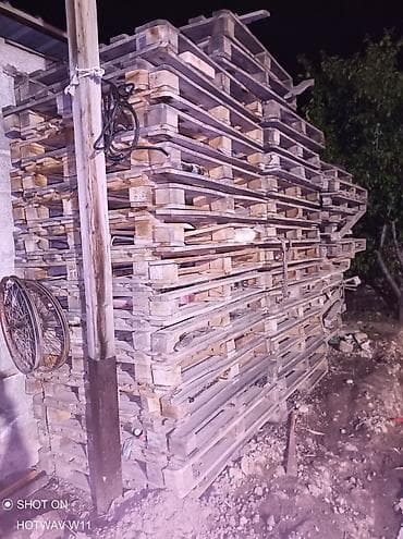 tush 3d: Поддон В наличии — 2