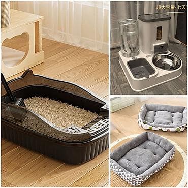 Үй жаныбарлары: Продается комплексное решение для владельцев кошек. Все предметы — 1