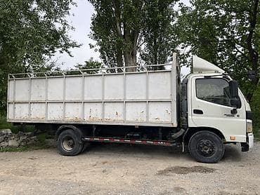 814 d: Грузовик, Foton, Стандарт — 3