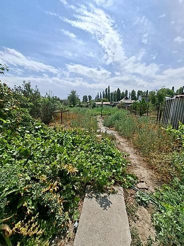 Недвижимость: Продается Дом с участком. В селе Новопокровка ул. Фрунзе/Крупская — 6