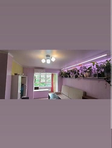 Недвижимость: 2 комнаты, 35 м², Политех Хрущевка, 4 этаж, Свежий ремонт — 5