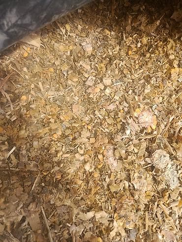 ищу работу на охрану: Силос кемин — 2