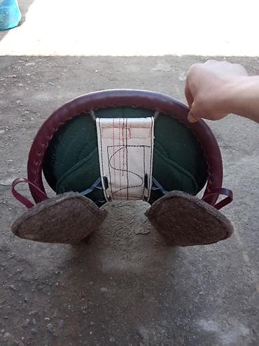 Үй жаныбарлары үчүн товарлар: Сатам | Жылкы (эркек) — 1