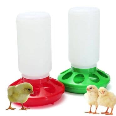 сельскохозяйственные животные продажа: Кормушки и Поилки Оптом и в Розницу для Кур и других Птиц . В нашем — 2