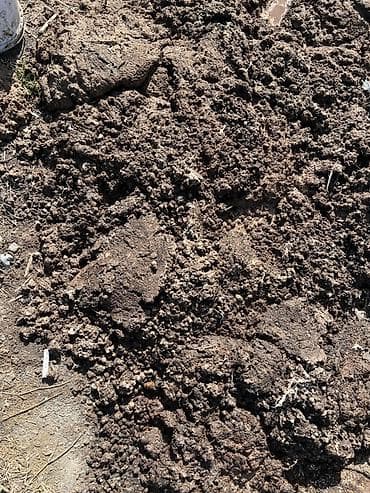 чернозем и навоз: ПРОДАЁТСЯ КУРИНЫЙ НАВОЗ 🐔 Свежий и сухой куриный навоз. Подходит для — 2