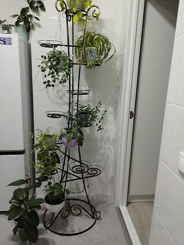 Стойка для цветов есть крючки для подвесных горшков, новая не at lalafo.kg Стойка для цветов есть крючки для подвесных горшков, новая не