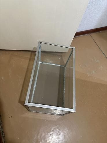 акварум: Стеклянный аквариум/террариум прямоугольной формы. Длина 50 см, ширина — 4