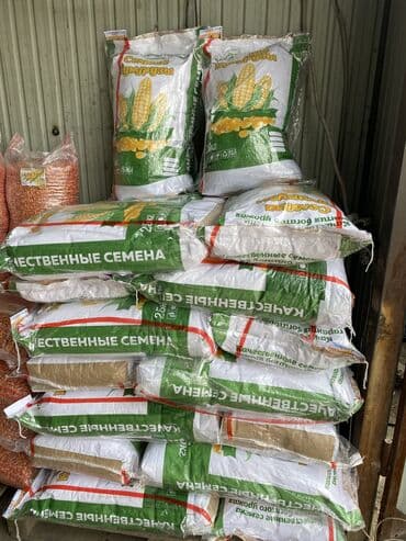 семена кукурузы бишкек: Семена: Кукуруза, Самовывоз — 2