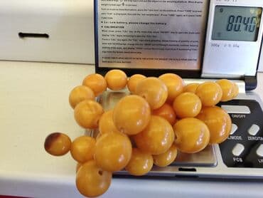 кызыл бирдик: Куплю янтарные бусы — 2