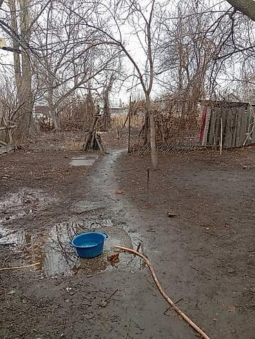 бетоный забор: Дом из шлакоблока с односкатной крышей из волнистых листов. Стены — 10