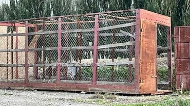 Сетка рабица, Длина: 5 м