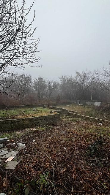 себе: 4 соток, Красная книга — 2