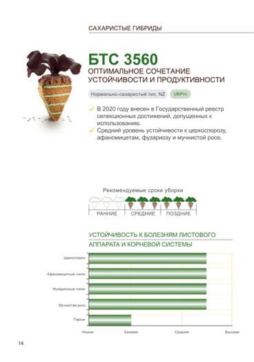 розы корни: Семена овощей: Свекла, Самовывоз, Бесплатная доставка, Платная доставка — 2