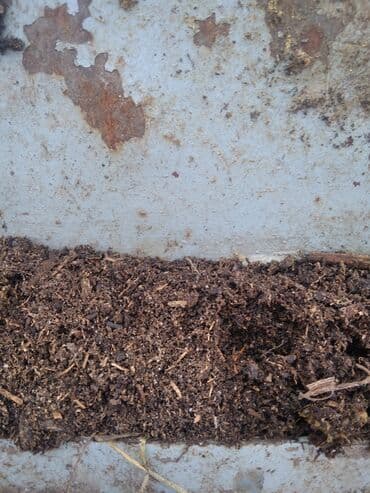 Перегной чорнозём горный