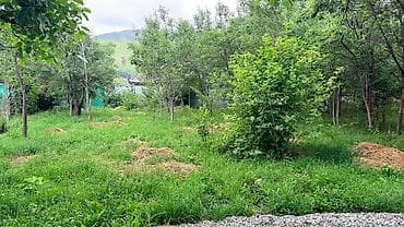 Кыймылсыз мүлк: 5 соток, Курулуш — 4