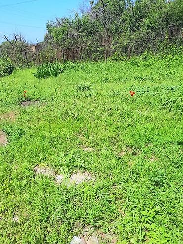 на ик: 550 соток, Для строительства, Красная книга, Тех паспорт — 3