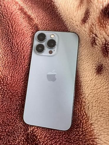 IPhone 13 Pro, Серебристый