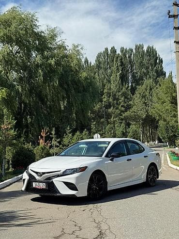 тайота камри белый свет: Toyota Camry: 2020 г., Автомат, Бензин, Седан — 2