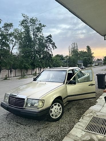 авто из германии сайт: Mercedes-Benz W124: 1988 г., 2 л, Механика, Бензин, Седан — 2