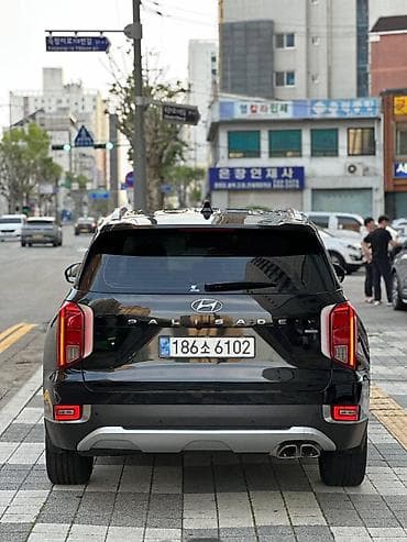 range river: Hyundai Palisade: 2020 г., 2.2 л, Автомат, Дизель, Внедорожник — 5