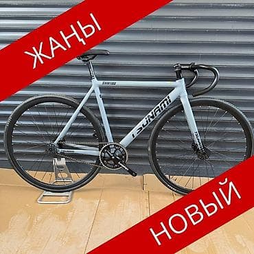 TSUNAMI SNM100 оригинальный Комплектация: LEGEND Цвет: серый матовый