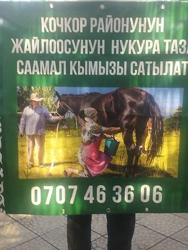 бутылки 5л: Кымыз из Кочкорского района - Натуральный саамал кымыз с высокогорных — 4