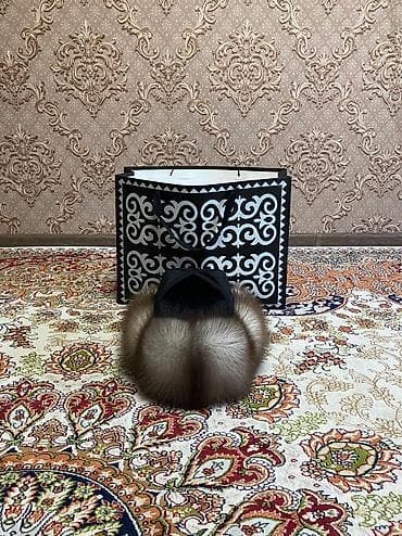 Суусар тебетей