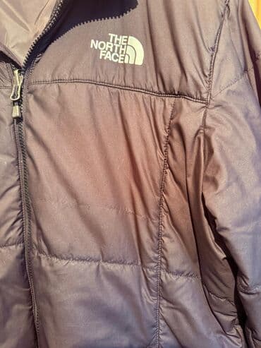 navy: Брюки Lacoste, тёмно‑синие (navy). - Материал: 100% хлопок (ярлык на — 6