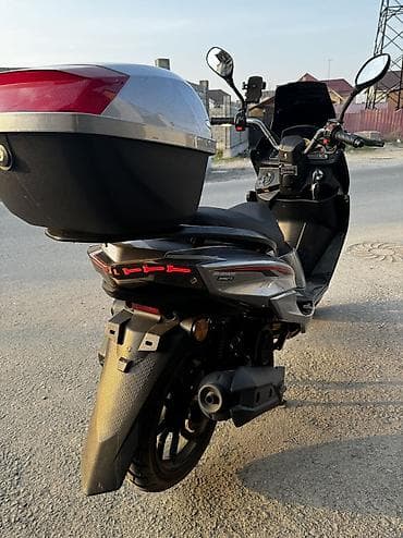 мини мопет: Макси-скутер 150 куб. см, Бензин — 6