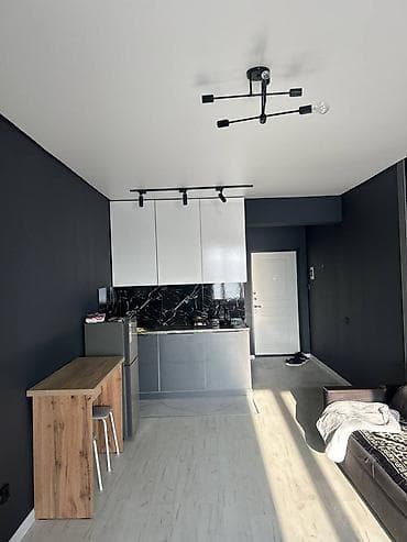 квартиры бишкек на месяц: 1 комната, Агентство недвижимости, Без подселения, С мебелью частично — 1