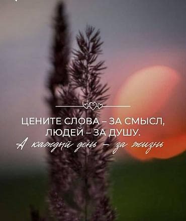 фото свое: Фотоплёнка в файл Jpeg для просмотра на ТВ,телефоне и компьютере — 2