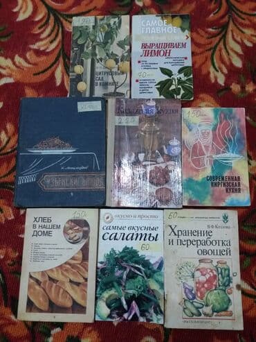 прикормочный кораблик с эхолотом и gps: Книги о вкусной и здоровой пище цена указана на товаре — 2