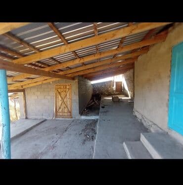 меняю на скот: Продается действующий бизнес кашар вместе с садом для разведения скота — 8